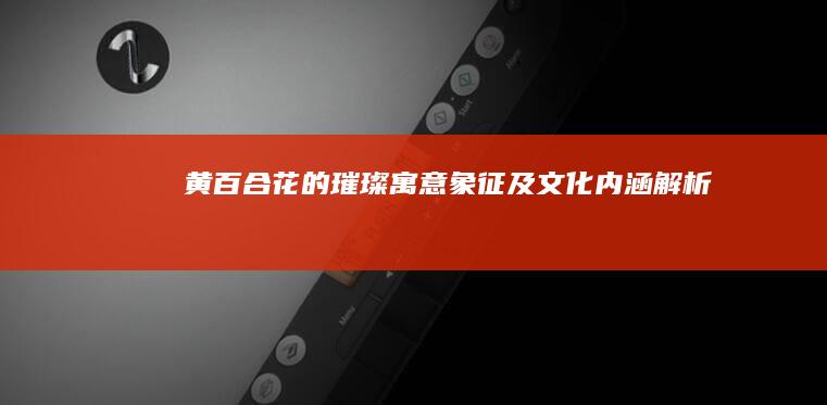 黄百合花的璀璨：寓意、象征及文化内涵解析